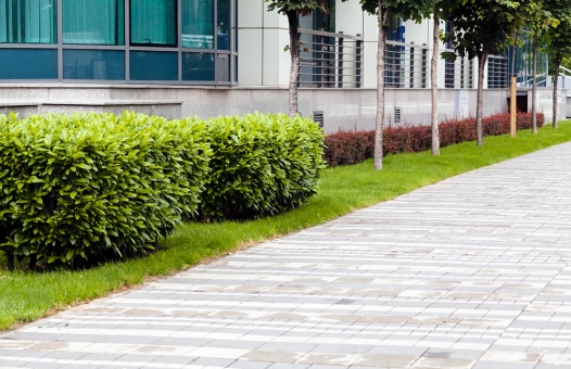 PEYZAJ PERİYODİK PEYZAJ VE BAHÇE BAKIMI HİZMETLERİ